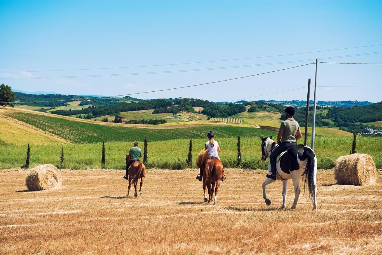 Alojamento de Turismo Rural Panieracci *