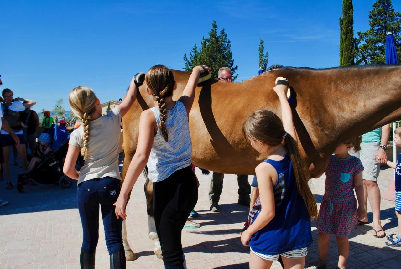 Alojamento de Turismo Rural Panieracci *